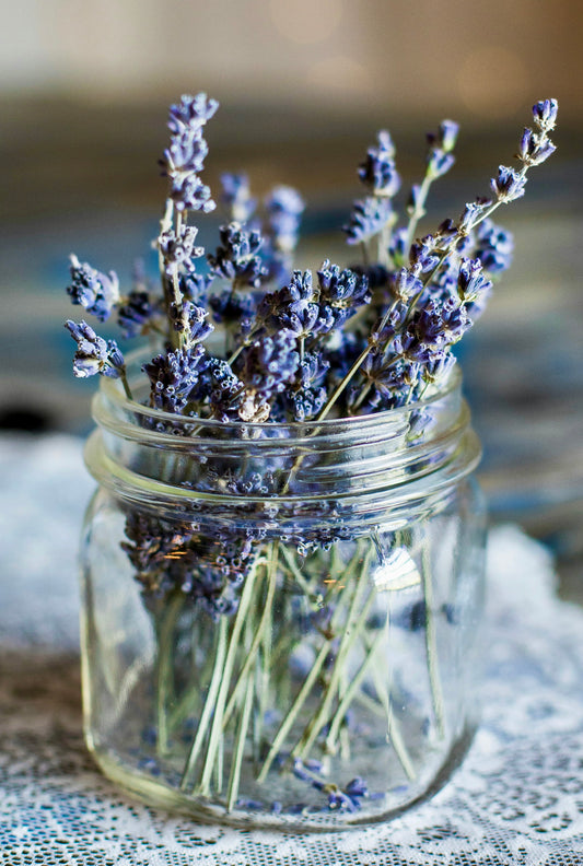 Purple Haze Blend Essential Oil